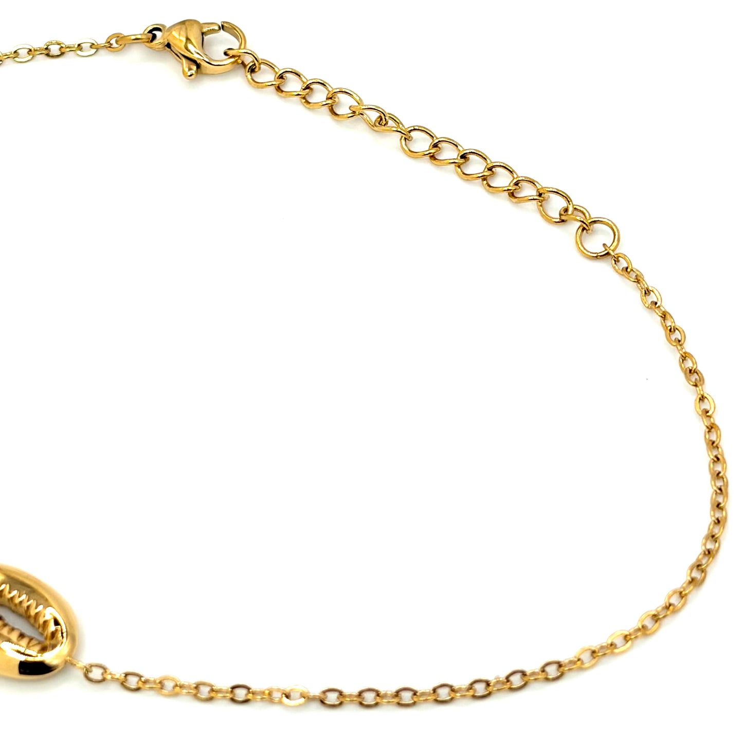Cowrie Shell Anklet