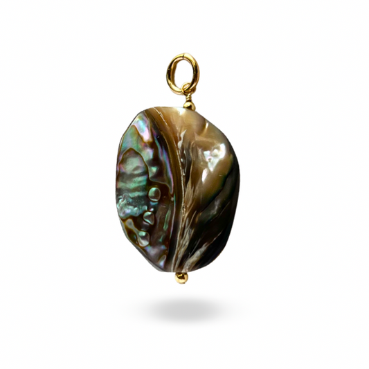 Abalone Shell Organic Statement Charm